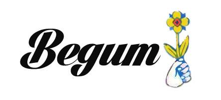 Begum Band